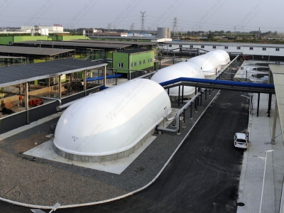 河南周口市四聯(lián)膠囊形雙膜氣柜項目安裝完成