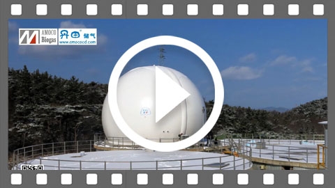 AMOCO Double Membrane Gas Holder Project in Korea